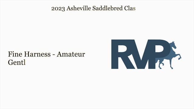 ASC23 - Class 10 - Fine Harness - Ama...