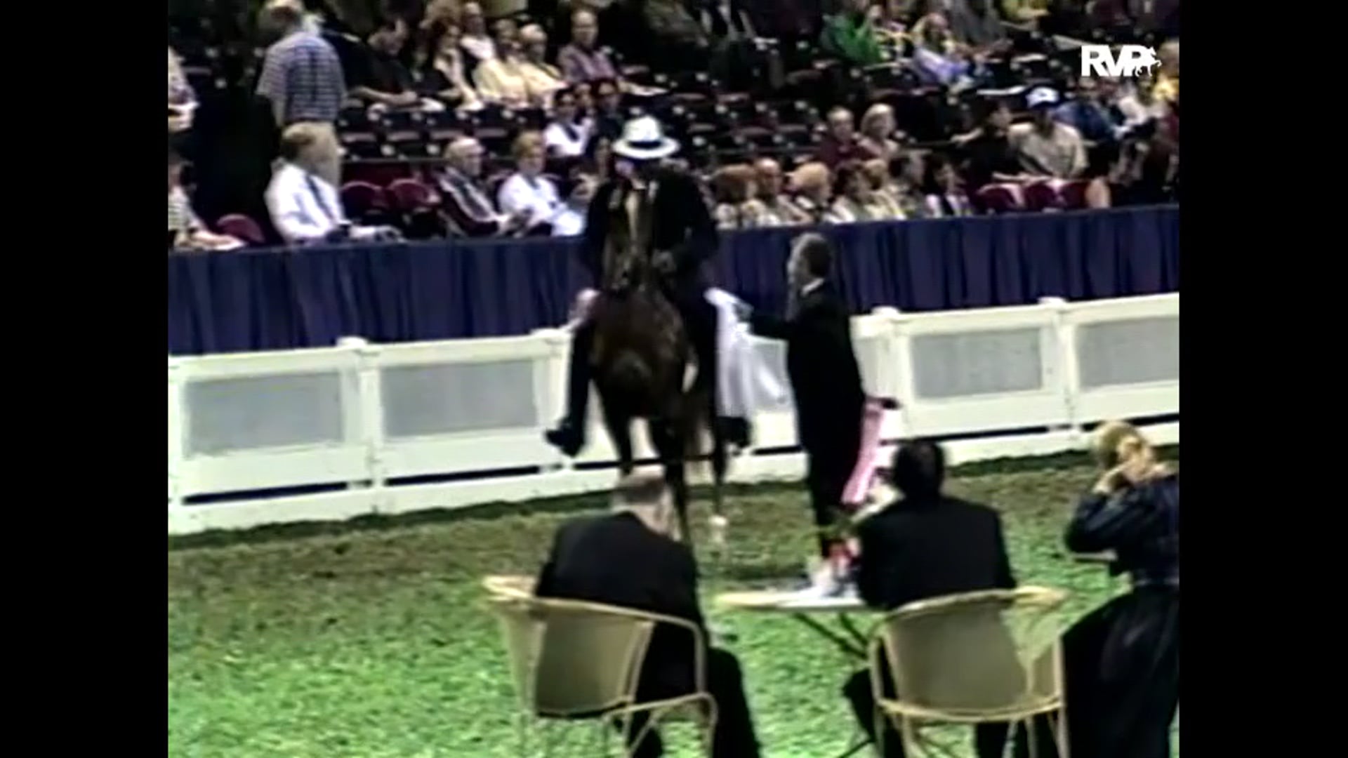 1999 WCHS - Class 95 ASHA National Futurity Three Year Old Three Gaited - She's An Asset and George Knight, up
