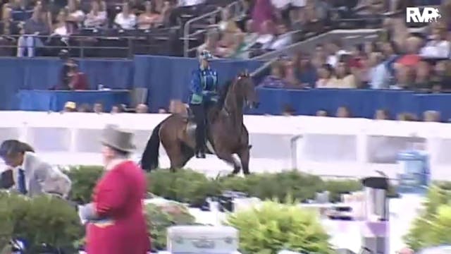 2010 World's Championship Horse Show ...