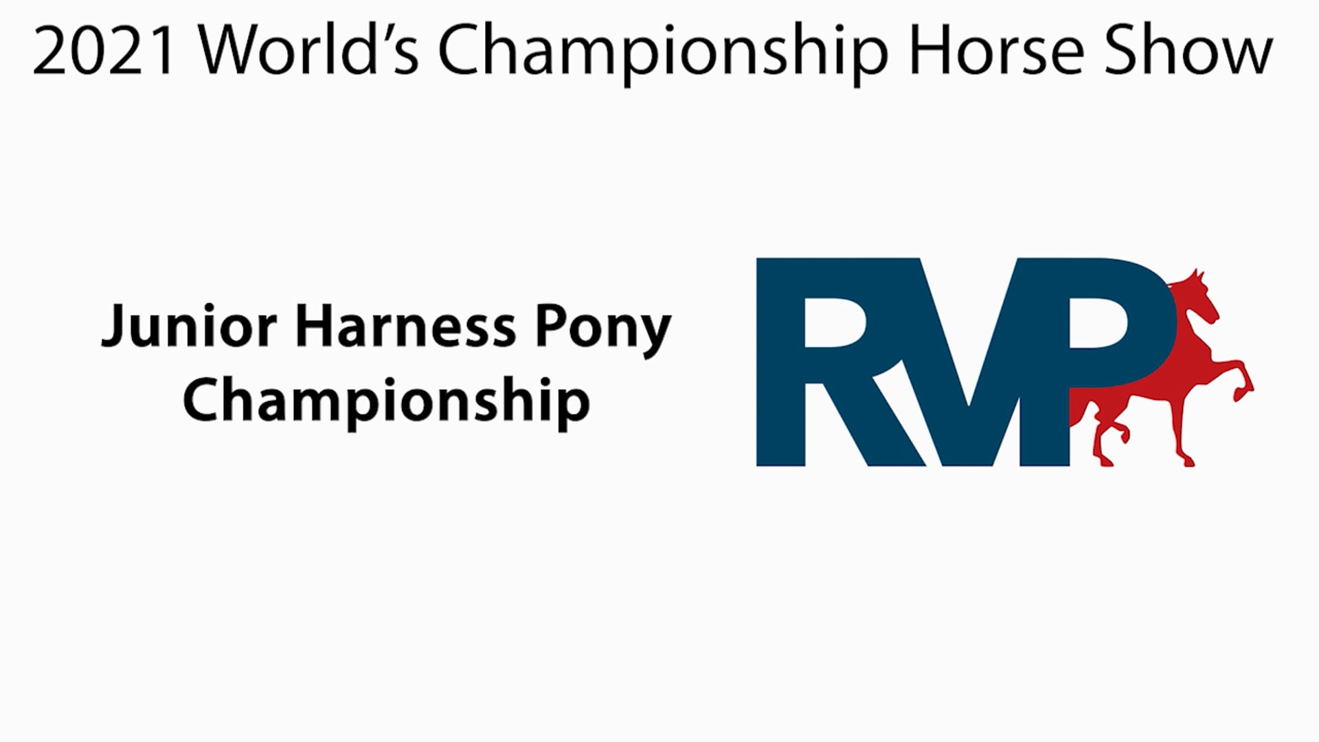 WCHS21 - Class 178 - Junior Harness Pony Championship