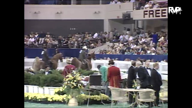 1998 WCHS - Class 151 Five Gaited Gel...