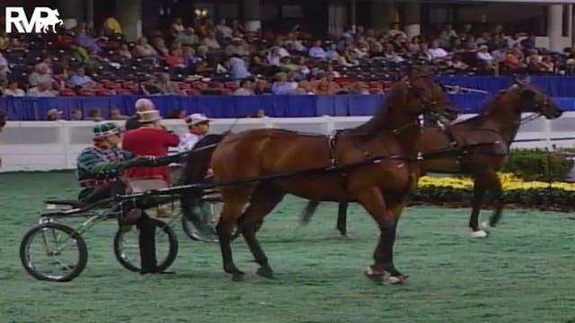 2004 World's Championship Horse Show ...