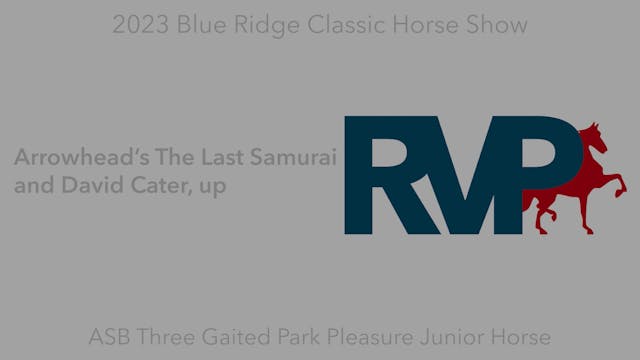 BR23 - Class 87 - Arrowhead’s The Las...