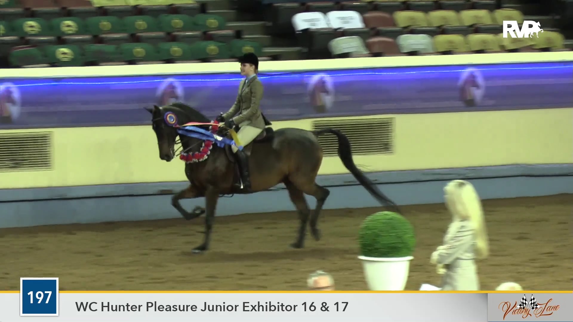 MGN19 - Latours Noble Gentry GCH - Class 197