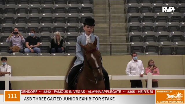 KFC 2020 - Class 111 ASB Three Gaited...