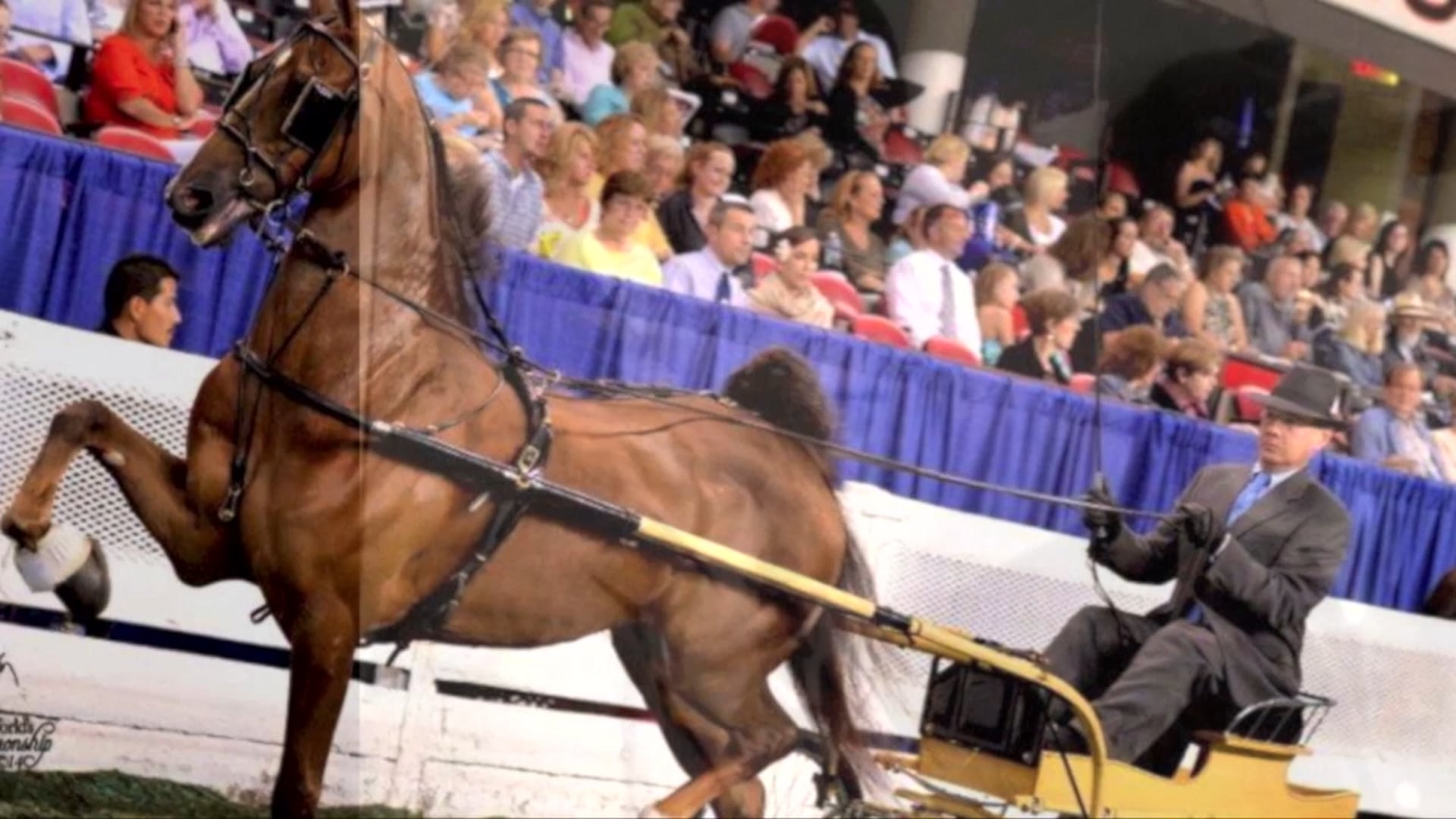 2016 Marsha and Gary Garone - Helen K Crabtree Equit. Instructor Hall of Fame