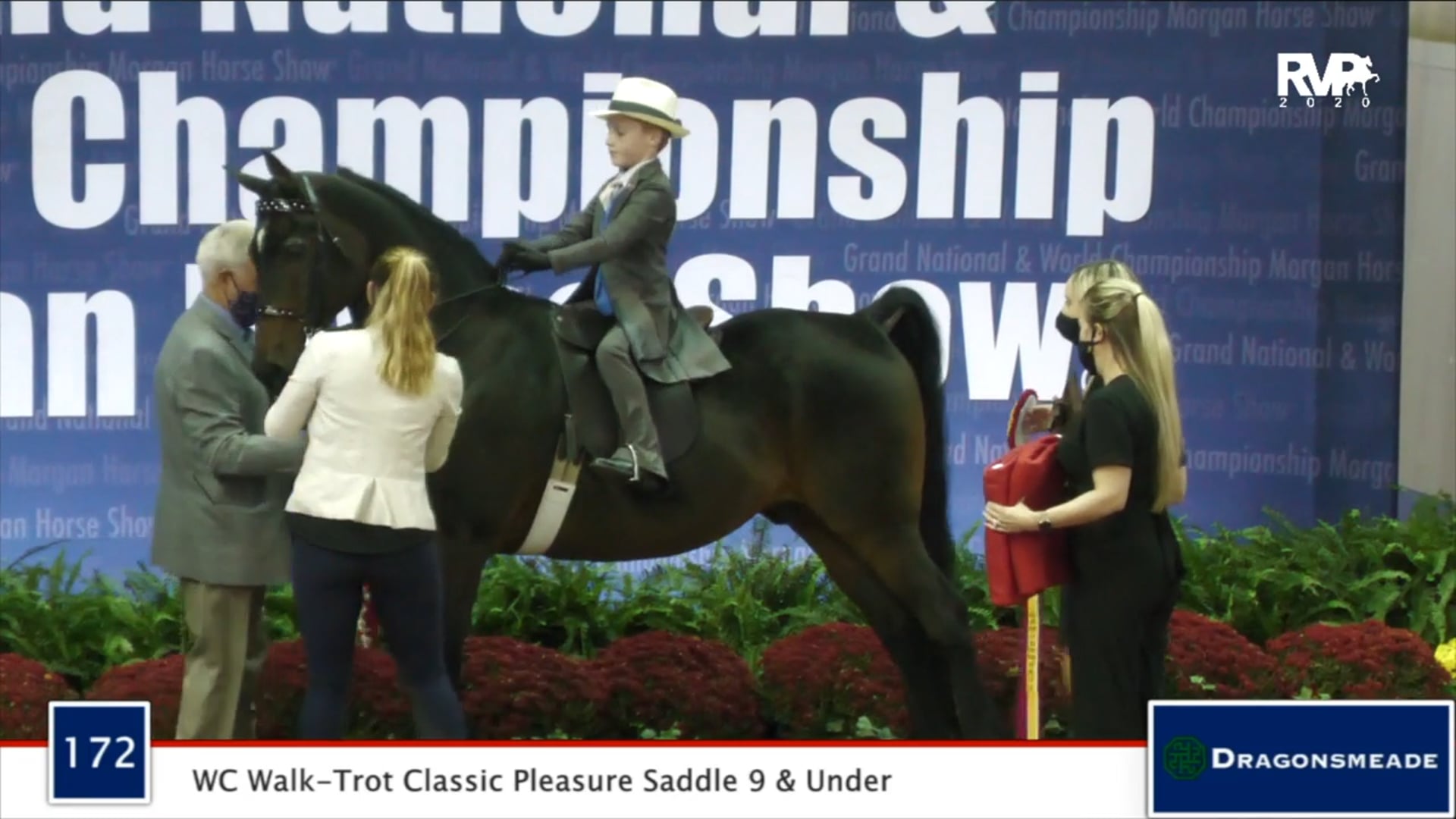 2020 MGN - Class 172 WC Walk-Trot Classic Pleasure 9 & Under