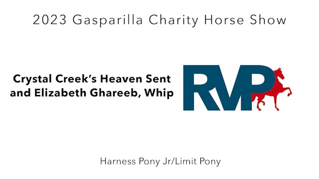 GASP23 - Class 86 - Crystal Creek's H...