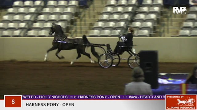 2020 SSFF - Class 8 Harness Pony Open