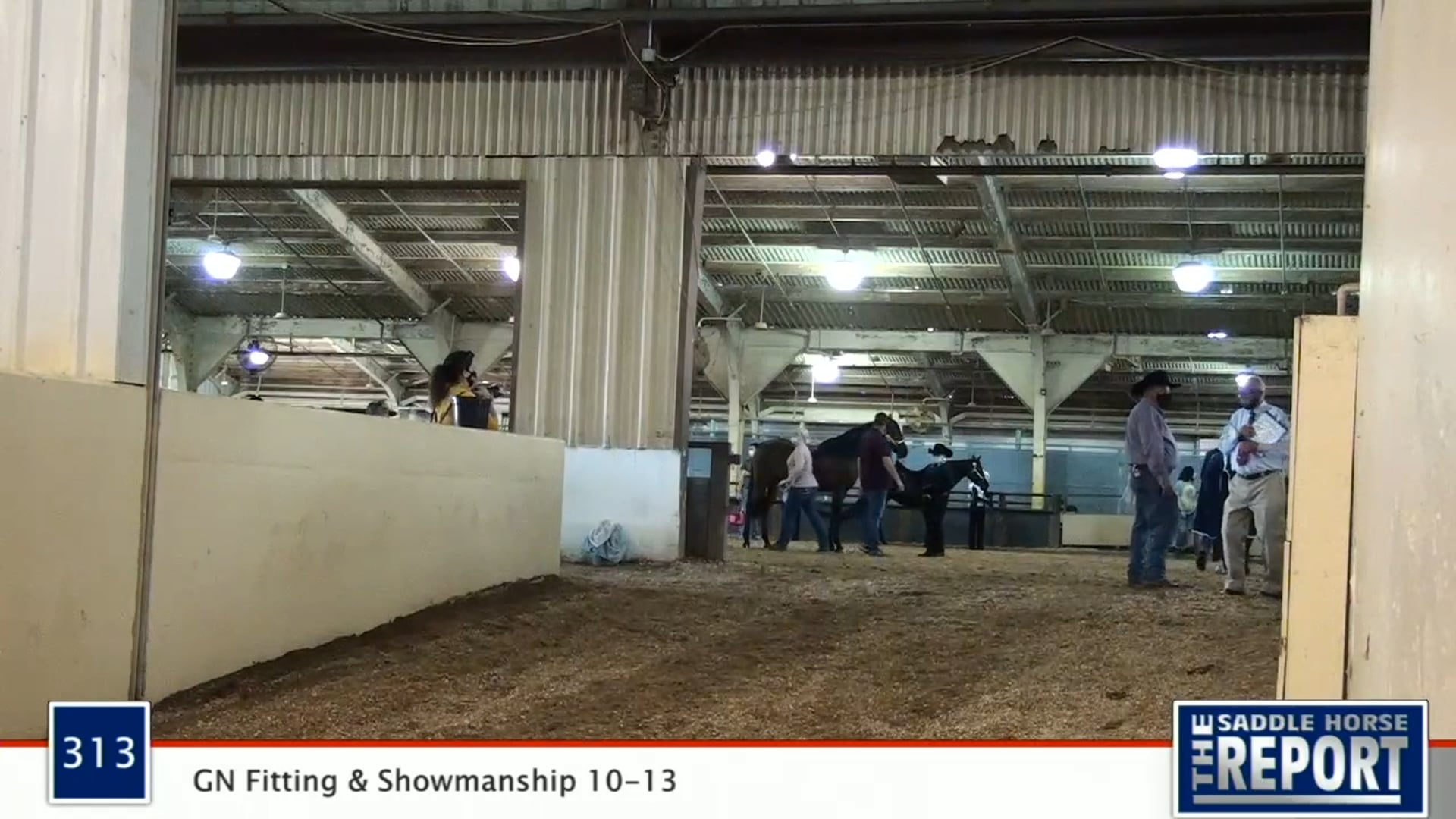 2020 MGN - 313 GN Fitting & Showmanship 10-13