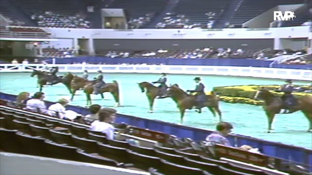 1991 WCHS Class 14 UPHA Challenge Cup...