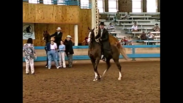 2001 Des Moines Springfest - Absolute Evolution and Victor Gonzales, up