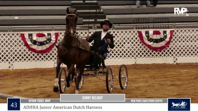 AAC23 - Class 43 - ADHHA Junior Ameri...