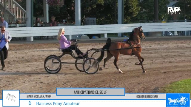 SSC25 - Class 6 - Anticipation's Elis...