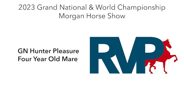 MGN23 - Class 19 - GN Hunter Pleasure...