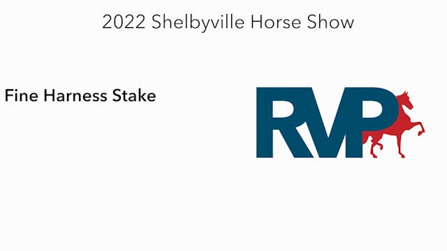 SHS22 - Class 41 -  Fine Harness Stake