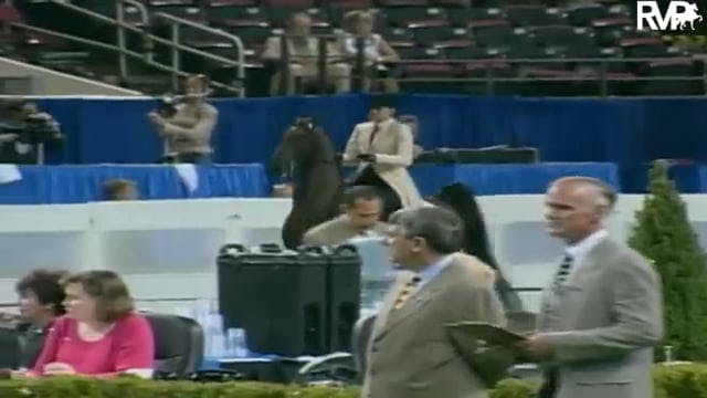 2003 WCHS Class 32 Junior Exhibitor F...