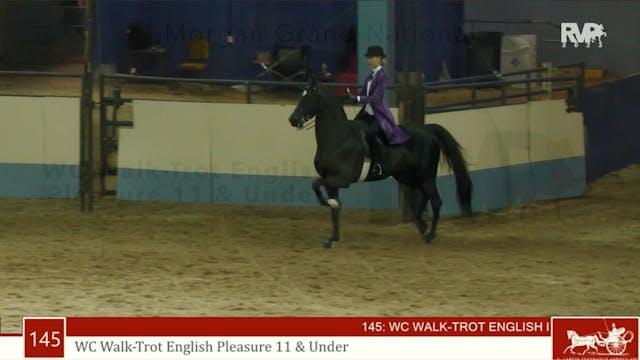 MGN23 - Class 145 - WC Walk-Trot Engl...