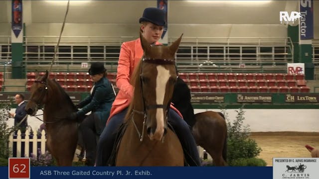 NCSC22 - Class 62 -  ASB Three Gaited...