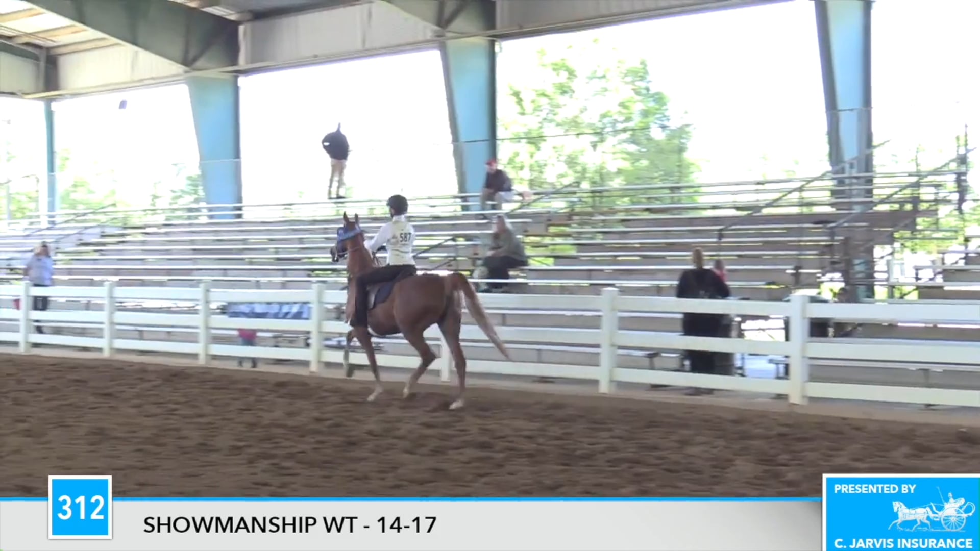 DC17 - Ashley Wilson - Showmanship