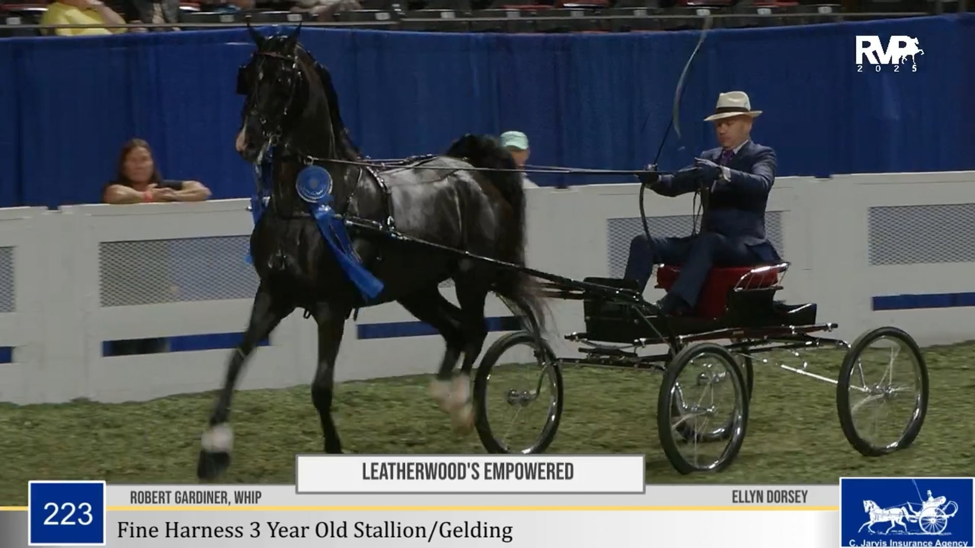 WCHS25 - Class 223 - Leatherwood's Empowered and Robert Gardiner, Whip