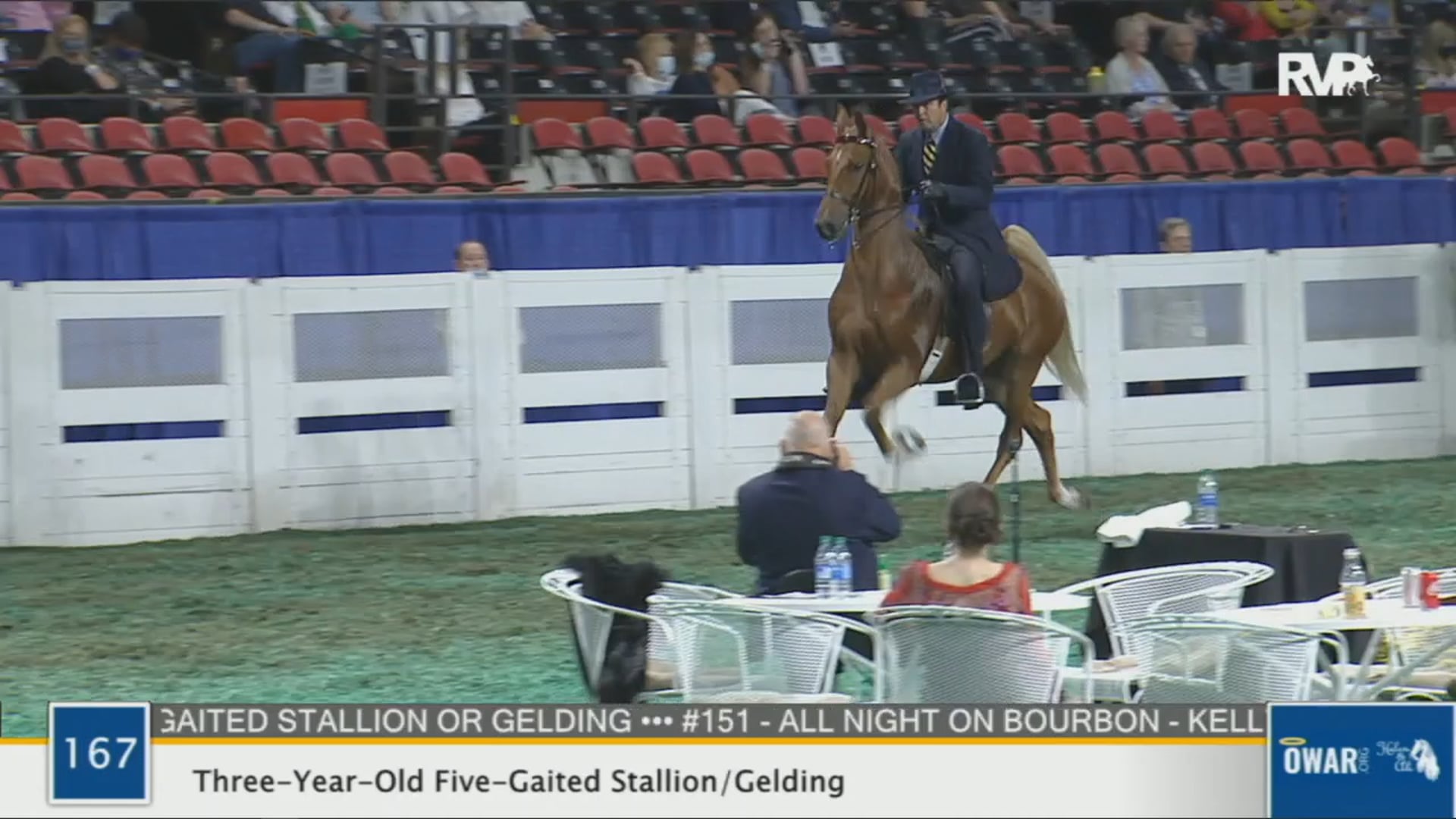 WCHS 2020 Class 167 - Three-Year-Old Five-Gaited Stallion:Gelding