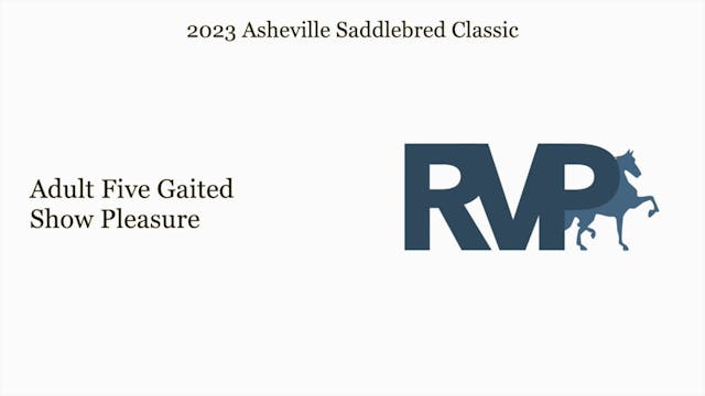 ASC23 - Class 17 - Adult Five Gaited ...