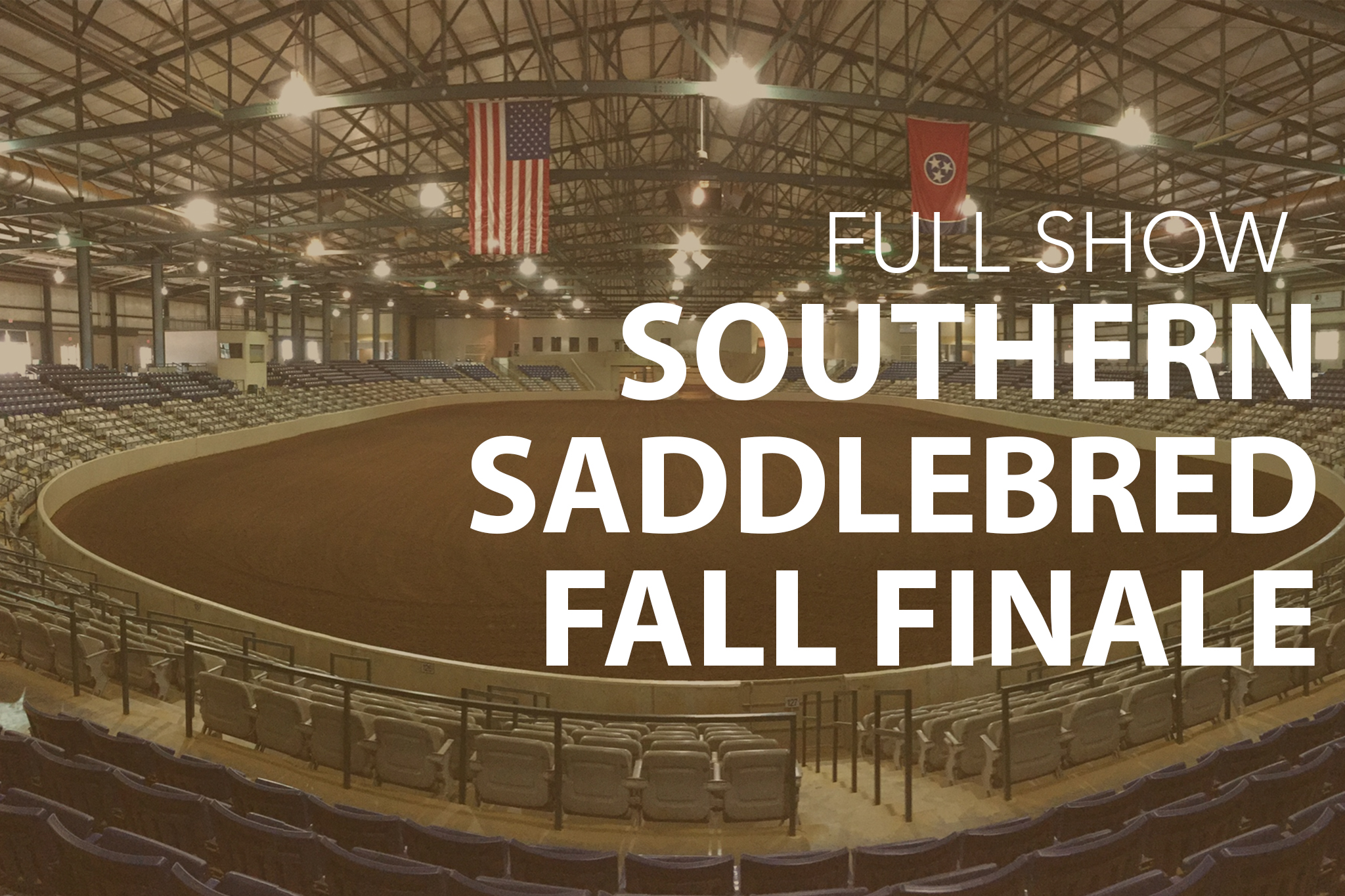 Southern Saddlebred Fall Finale