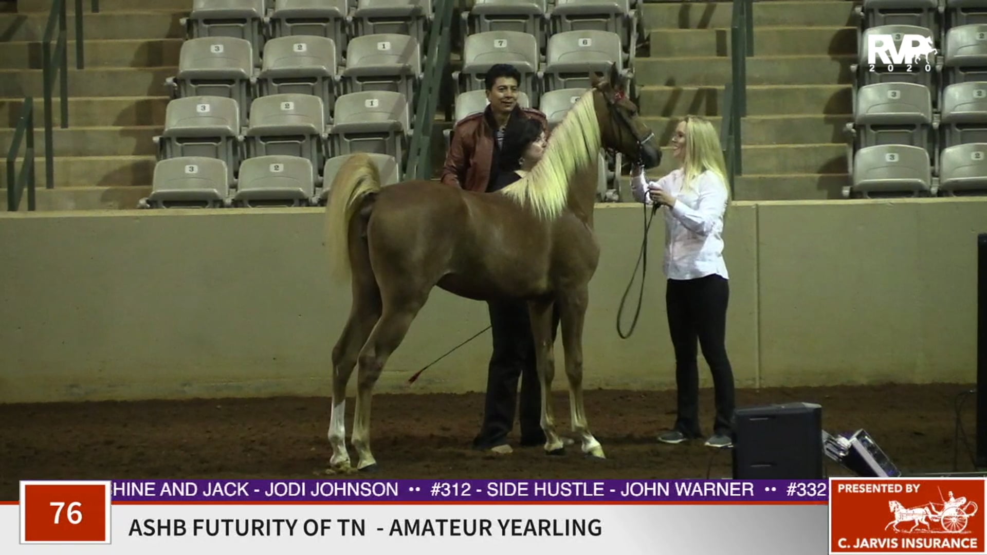 2020 SSFF - Class 76 ASB Futurity of TN Amateur
Yearling