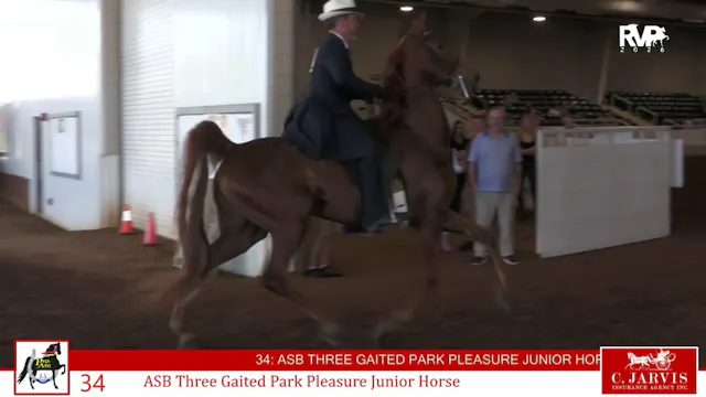 ProAm26 - Class 34 - ASB Three Gaited...