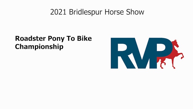 BS21 - Class 155 - Roadster Pony To Bike Championship