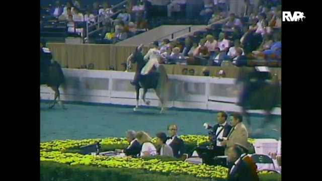 1988 WCHS Class 9 Junior Five Gaited ...