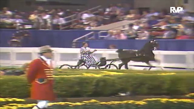 1992 WCHS Class 74 Ladies Amateur Hac...