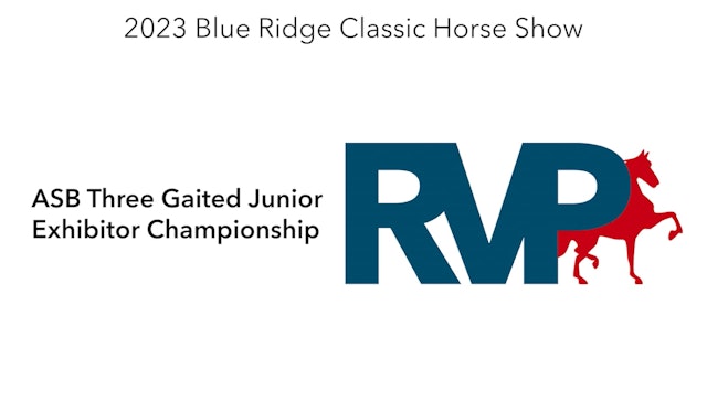 BR23 - Class 216 - ASB Three Gaited Junior Exhibitor Championship