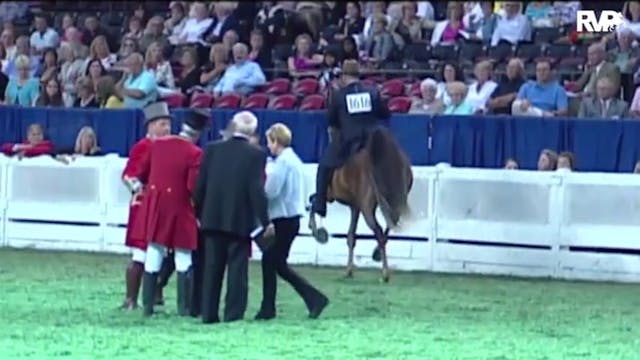 2010 World's Championship Horse Show ...