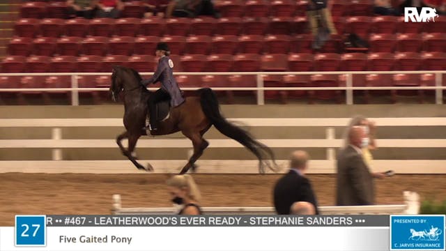 2020 ASF - Class 27 Five Gaited Pony