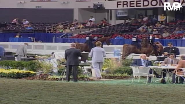 2004 World's Championship Horse Show ...