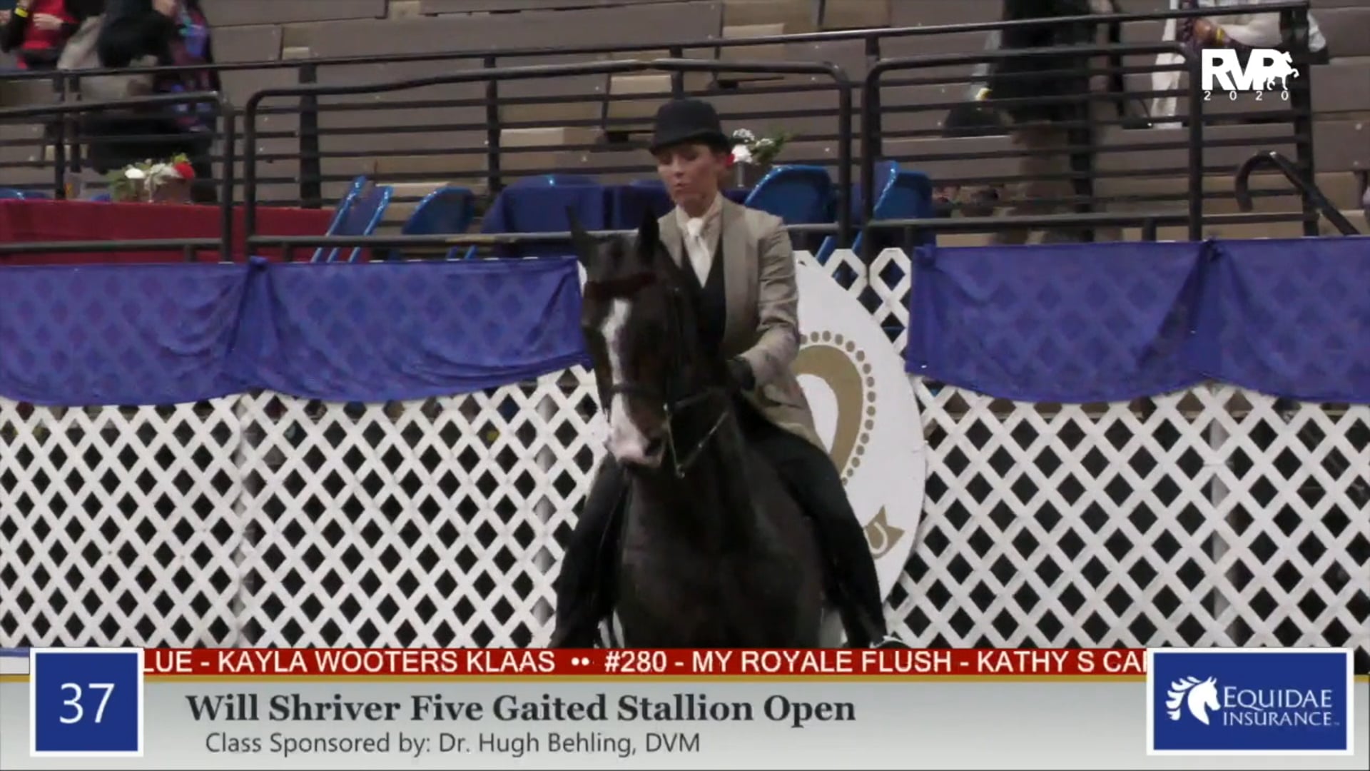 2020 AR - Class 37 Will Shriver Five Gaited Stallion
Open