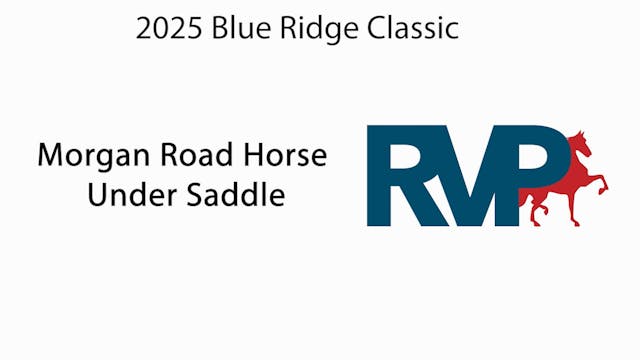 BRC25 - Class 58 - Morgan Road Horse ...