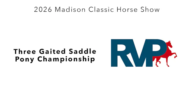 MC26 - Class 133 - Three Gaited Saddl...