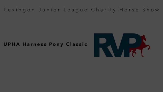 LJL22 - Class 114 - UPHA Harness Pony...