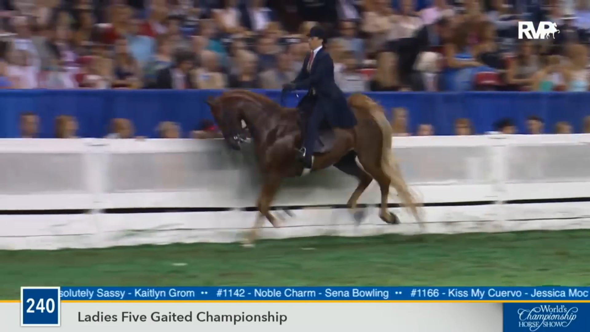 2016 WCHS - Class 240 Ladies Five Gaited Championship