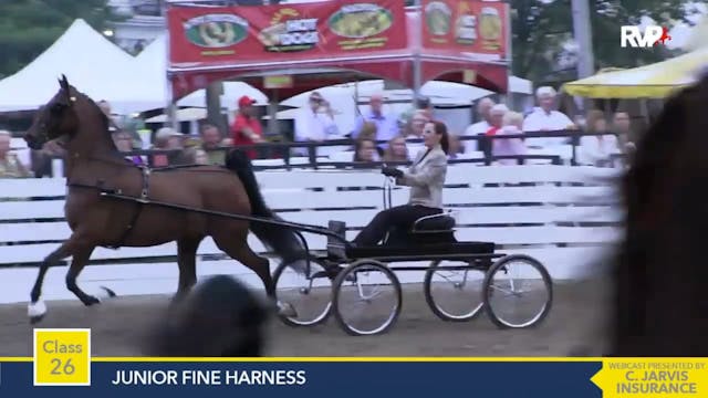 2015 RC - Class 26 Junior Fine Harness 