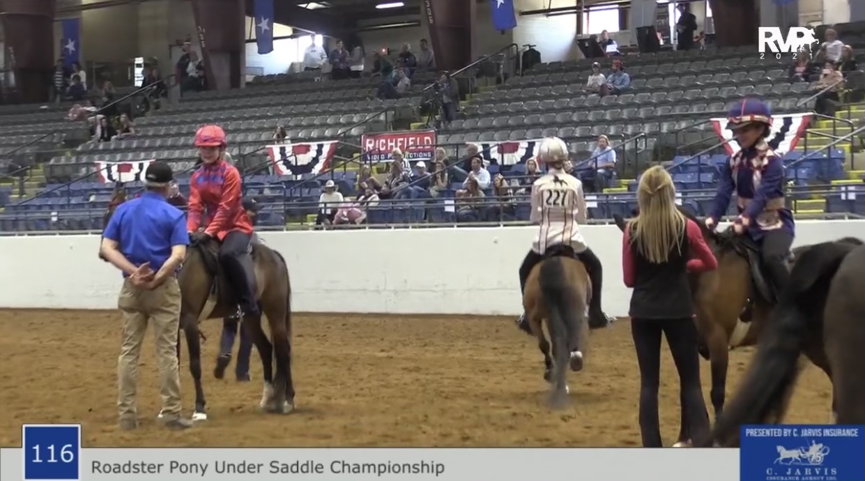 BB21 - Class 116 - Roadster Pony Under Saddle Championship