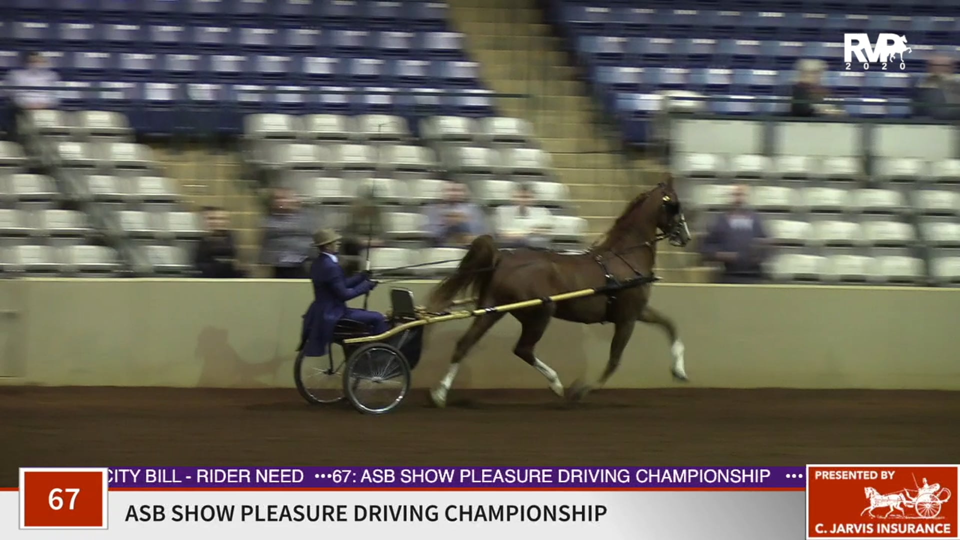 2020 SSFF - Class 67 ASB Show Pleasure Driving
Championship