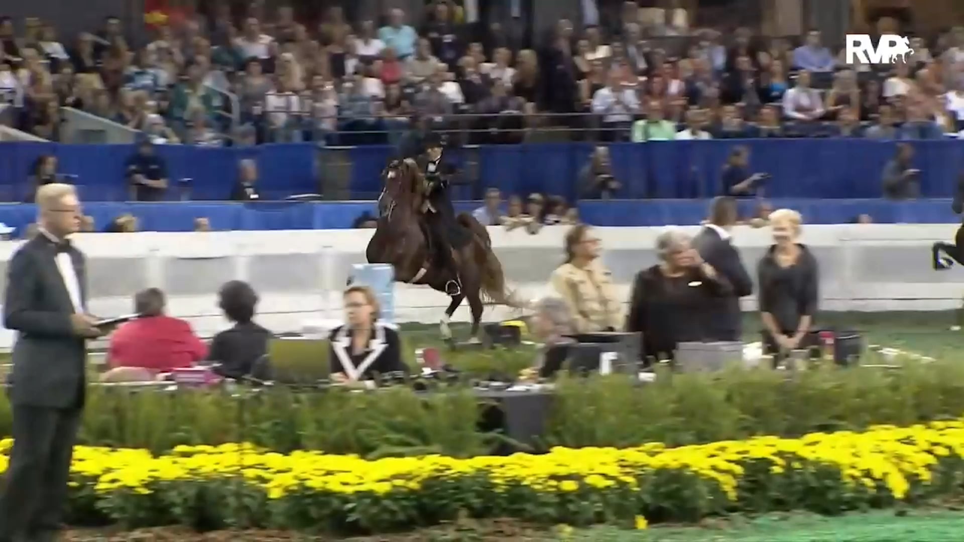 Marc of Charm's Journey to a Championship + His Visit to William Woods University 