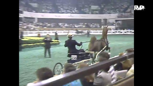 1988 WCHS Class 154 Fine Harness Cham...
