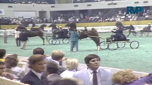 1987 WCHS Class 63 Fine Harness Stall...