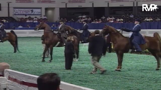 2007 WCHS Class 13 Equitation Open Ri...