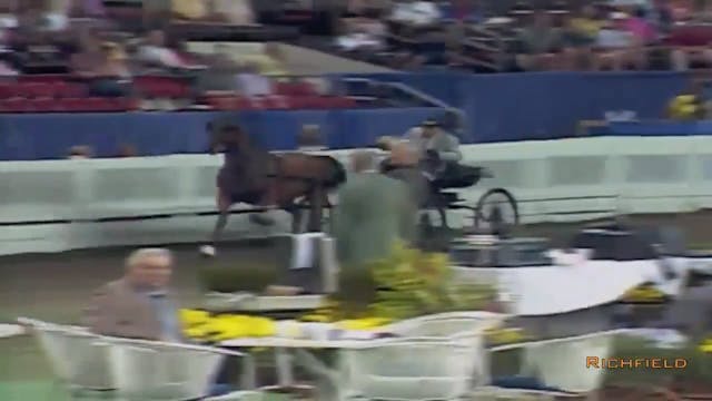 2002 WCHS Class 78 Amateur Road Horse...